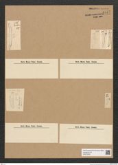 Diatomeae indet. Zeichnungen Sammlung Grunow Nr. 6577 (NHMW-BOT-W0375320)